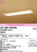 ODELIC �����ǥ�å� LED ������󥰥饤�� OD266030R2B