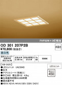 ODELIC �����ǥ�å� LED ������󥰥饤�� OD301207P2B