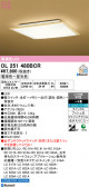 ODELIC �����ǥ�å� LED ������󥰥饤�� OL251480BCR