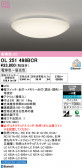 ODELIC �����ǥ�å� LED ������󥰥饤�� OL251498BCR