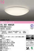 ODELIC �����ǥ�å� LED ������󥰥饤�� OL251498GR