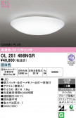 ODELIC �����ǥ�å� LED ������󥰥饤�� OL251498NGR