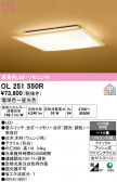 ODELIC �����ǥ�å� LED ������󥰥饤�� OL251550R