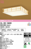 ODELIC �����ǥ�å� LED ������󥰥饤�� OL251595R