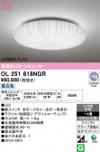 ODELIC �����ǥ�å� LED ������󥰥饤�� OL251818NGR