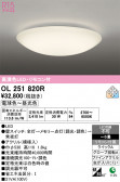 ODELIC �����ǥ�å� LED ������󥰥饤�� OL251820R