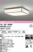 ODELIC �����ǥ�å� LED ������󥰥饤�� OL251836R