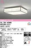 ODELIC �����ǥ�å� LED ������󥰥饤�� OL251838R