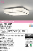 ODELIC �����ǥ�å� LED ������󥰥饤�� OL251839R