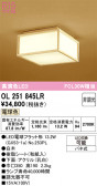 ODELIC �����ǥ�å� LED ����������󥰥饤�� OL251845LR
