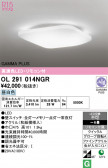 ODELIC �����ǥ�å� LED ������󥰥饤�� OL291014NGR