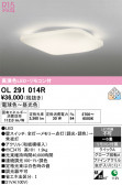 ODELIC �����ǥ�å� LED ������󥰥饤�� OL291014R