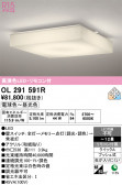 ODELIC �����ǥ�å� LED ������󥰥饤�� OL291591R