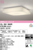 ODELIC �����ǥ�å� LED ������󥰥饤�� OL291592R