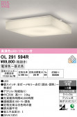 ODELIC �����ǥ�å� LED ������󥰥饤�� OL291594R