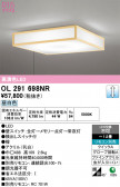ODELIC �����ǥ�å� LED ������󥰥饤�� OL291698NR