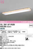 ODELIC �����ǥ�å� LED ������󥰥饤�� OL291871R2B