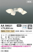 KOIZUMI �������߾��� LED������󥰥ե������� AA58021