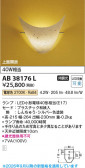 Koizumi �������߾��� LED�����֥饱�å� AB38176L