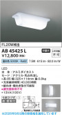 Koizumi �������߾��� LEDή������ AB45425L