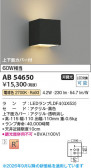 Koizumi �������߾��� LED�֥饱�å� AB54650