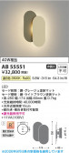 Koizumi �������߾��� LED�֥饱�å� AB55551