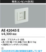 Koizumi �������߾��� ���ѥ��󥻥�� AE42045E