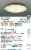 Koizumi �������߾��� LED������� AH55828