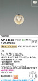 Koizumi �������߾��� LED�ڥ����� AP54955