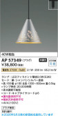 Koizumi �������߾��� LED�ڥ����� AP57349