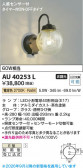 Koizumi �������߾��� LED�ɱ����֥饱�å� AU40253L