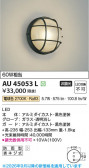 Koizumi �������߾��� LED�ɱ����֥饱�å� AU45053L