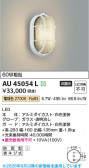 Koizumi �������߾��� LED�ɱ����֥饱�å� AU45054L