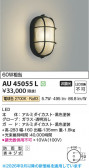 Koizumi �������߾��� LED�ɱ����֥饱�å� AU45055L