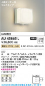 Koizumi �������߾��� LED�ɱ����֥饱�å� AU45865L