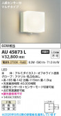 Koizumi �������߾��� LED�ɱ����֥饱�å� AU45873L