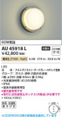 Koizumi �������߾��� LED�ɱ��ɼ����֥饱�å� AU45918L