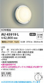 Koizumi �������߾��� LED�ɱ��ɼ����֥饱�å� AU45919L