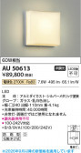 Koizumi �������߾��� LED�ɱ����֥饱�å� AU50613