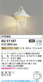 Koizumi �������߾��� LED�ɱ����֥饱�å� AU51187