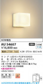 Koizumi �������߾��� LED�ɱ����֥饱�å� AU54607