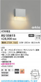 Koizumi �������߾��� LED�ɱ����֥饱�å� AU55815