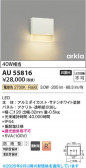 Koizumi �������߾��� LED�ɱ����֥饱�å� AU55816