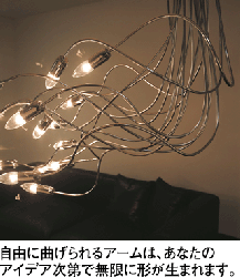 OC006849 OC006850 ǥꥢ ODELIC ǥå