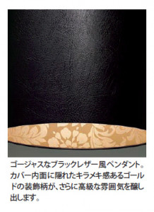 DAIKO���ڥ����ȡ�DPN-54759