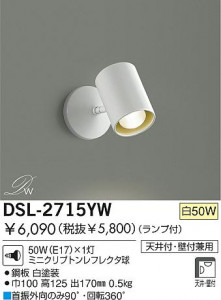 DAIKO����ȴ��������ŷ�桡���ݥåȥ饤�ȡ�DSL-2715YW