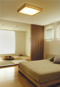 �������߾�����KOIZUMI���ָ�������������󥰥饤�ȡ�AHN635354��