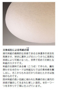 ��ƣ������ENDO������������ɡ������»桡Ω��������EF-4421N