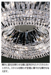 DAIKO�������ǥꥢ��DCH-54446�����������å������ꥹ���륫�åȥ��饹