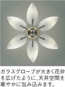 ߾KOIZUMIilum ǥꥢŵ巿ָAAN585126